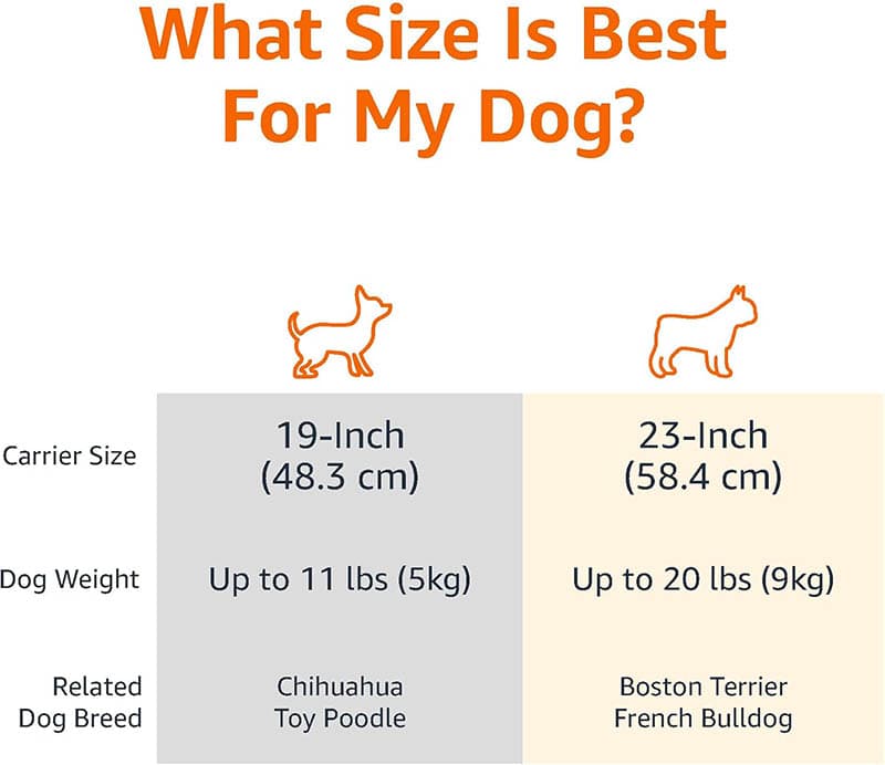 3Amazon Basics – 2-Door Top-Load Hard-Sided Dogs, Cats Pet Travel Carrier, Gray & Blue